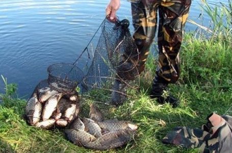На Тернопільщині зловили рибних браконьєрів