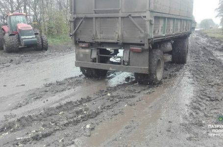 Найбільше на Тернопільщині штрафів за забруднення доріг сплатять аграрії