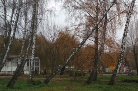У парках Тернополя зріжуть 700 дерев