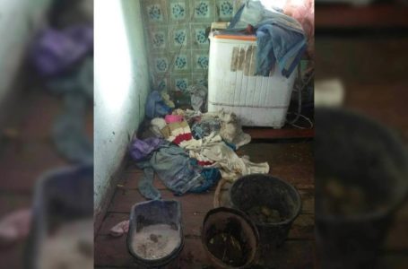 Безлад та антисанітарія, – у таких умовах на Тернопільщині живуть 6 дітей (Фото)