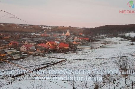 На Тернопільщині прокуратура вимагає повернути державі землю площею 82 гектари 