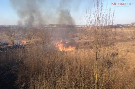 На Тернопільщині з приходом весни почалися масштабні пожежі в екосистемах