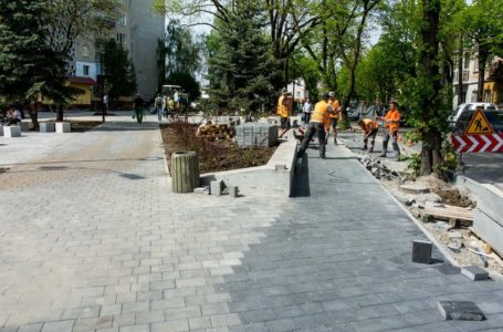 У Тернополі в «Сквері Волонтерів» висадили 15 декоративних дерев