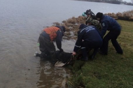 На Тернопільщині у річці Серет втопилися двоє пенсіонерів