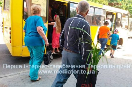 Тернополяни масово розкуповують татар-зілля (Фото)