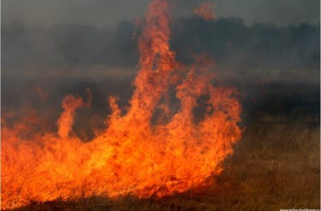 Через спеку на Тернопільщині оголосили надзвичайну пожежну небезпеку