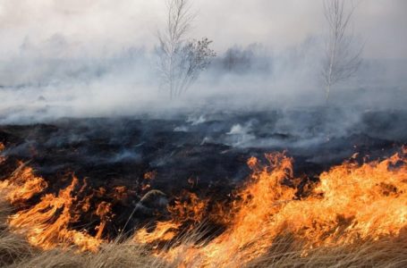 Минулої ночі на Тернопільщині трапилося п’ять пожеж