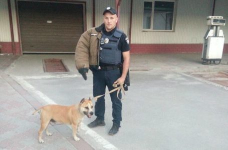 У Тернополі агресивна собака кидалася на дітей
