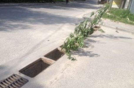 У Кутківцях поблизу Тернополя викрали 10 каналізаційних решіток
