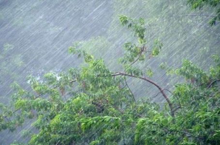 На Тернопільщині передбачають дощі та грози