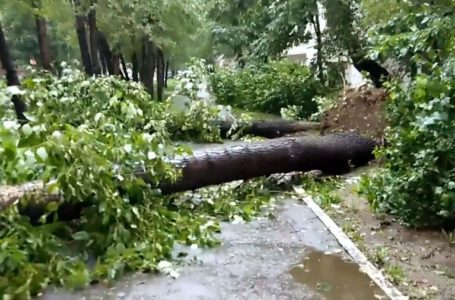 На Тернопільщині зливи та грози завдали чималої шкоди