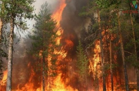 Жителів Тернопільщини попереджають про найвищий рівень пожежної небезпеки
