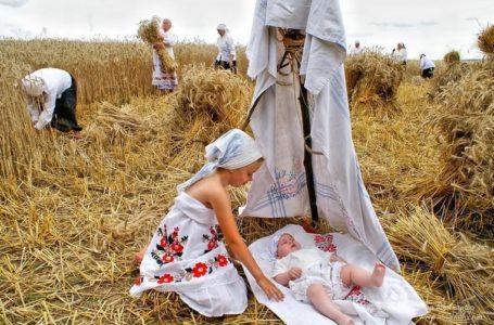 В Україні жнива: традиції збору урожаю