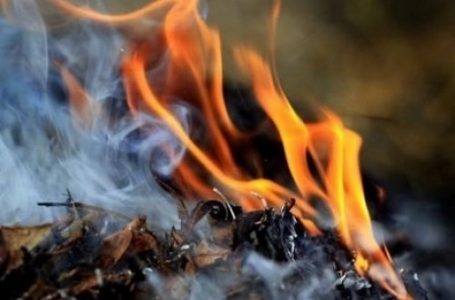 На Тернопільщині за спалювання листя серйозно штрафуватимуть
