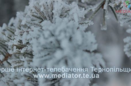 До кінця січня на Тернопільщині буде без хуртовин і сильних снігопадів