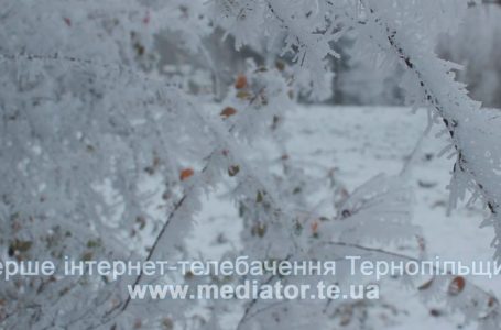На Новий рік синоптики обіцяють чарівну зимову погоду