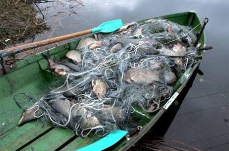 У Тернополі судили браконьєра, який виловив понад 100 кілограмів риби