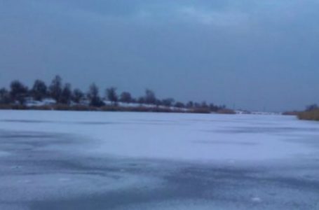 На Бережанщині у дамбі ставу знайшли мертвою пенсіонерку