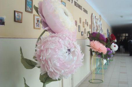Коридор школи на Тернопіллі прикрасили квітами-гігантами (Фото)
