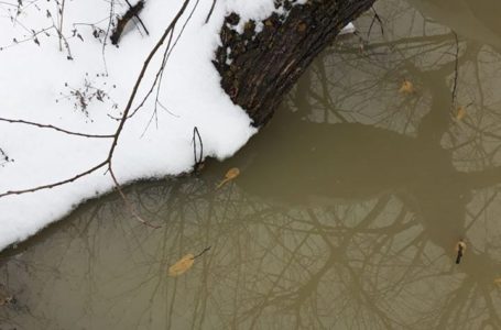 На Тернопільщині у річку зливали відходи від виробництва