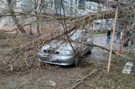 На вулиці Шептицького тернополянку привалило рекламним щитом, жінку госпіталізували