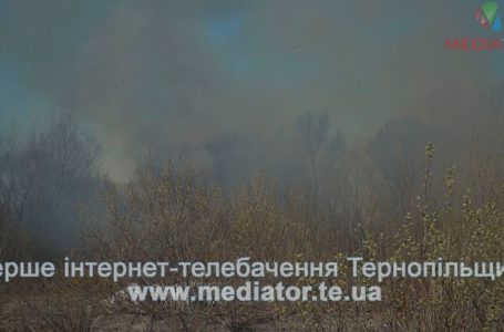 На Тернопільщині за день погасили тридцять пожеж