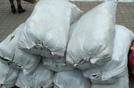 У Тернополі затримали осіб з рекордною кількістю зірваних червонокнижних рослин