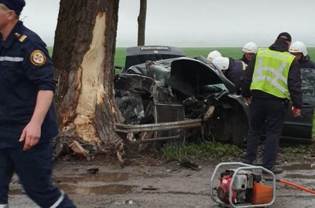 Від удару випав двигун: на Тернопільщині авто врізалося в дерево, водій загинув