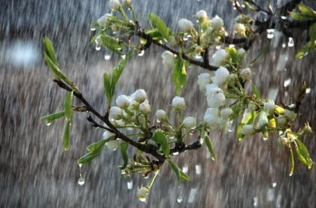 Похолодання, дощі і град прогнозують синоптики на Тернопільщині