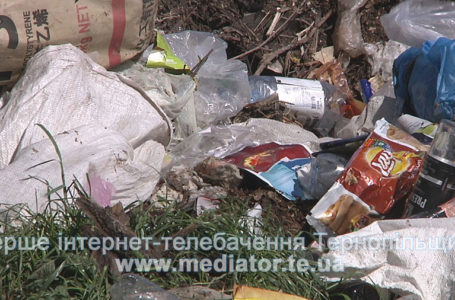 На Тернопільщині є люди, які координують привіз львівського сміття (Відео)