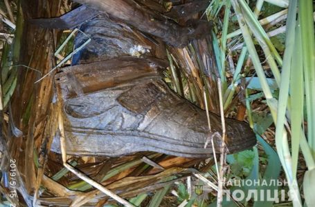Скелет людини, знайдений у парку “Топільче”, належить зниклому тернополянину