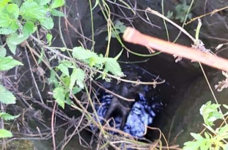 Ранок рятувальники на Тернопільщині почали з доброї справи