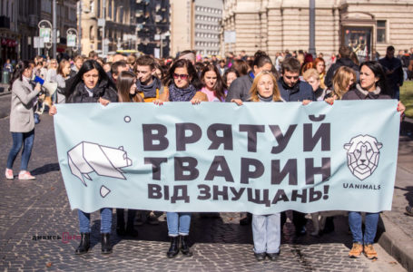 Тернопіль – один з 22 обласних центрів, які приєднаються до Всеукраїнського маршу за права тварин