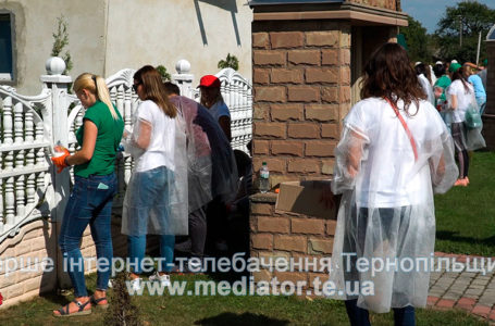 Працівники компанії «Контінентал» причепурили село Нижбірок на Тернопільщині (Відео)