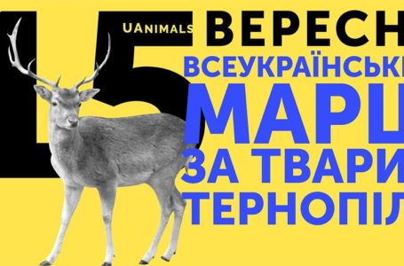 На марші за права тварин тернополяни вимагатимуть створення зоополіції