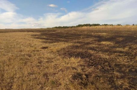 Лісову пожежу в Бережанах не вдається погасити третю добу (Фото)