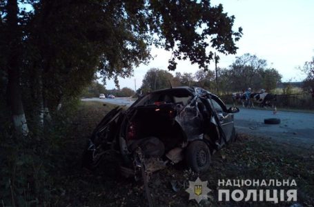 У Борщівському районі водій іномарки спричинив ДТП: загинув пасажир (Фото)