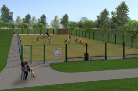 У парку Нацвідродження пропонують облаштувати майданчик для тренування собак