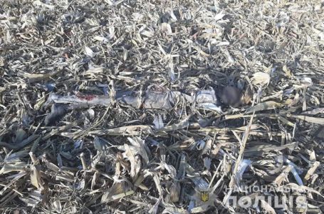 На Тернопільщині в кукурудзяному полі знайшли муміфіковане тіло людини