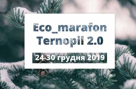 Вечеря при свічках та ялинка в горщику: Еко-марафон – у Тернополі