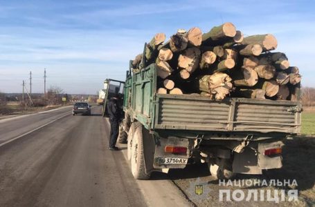 На Тернопільщині виявили порушників, які незаконно вирубували ліс