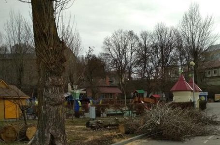 У парку Шевченка рубають дерева. Люди стурбовані (Фото)