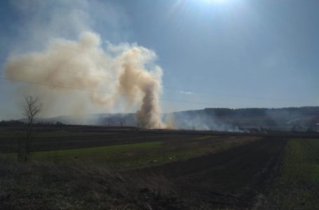 Майже двадцять пожеж за день. На Тернопільщині горить суха трава (Фото)