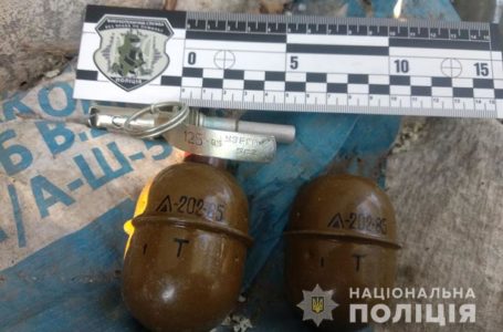 У власному будинку житель Березовиці зберігав бойові гранати (Відео)