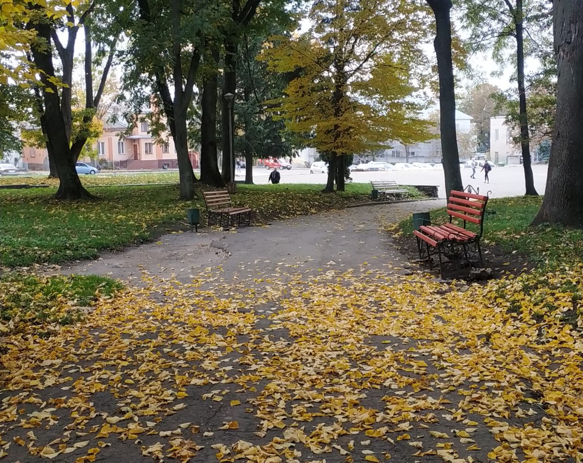 Погода на Тернопільщині: 30 жовтня дощитиме, на вихідних стане холодніше