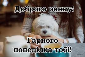 Доброго ранку, понеділок: як почати тиждень легко