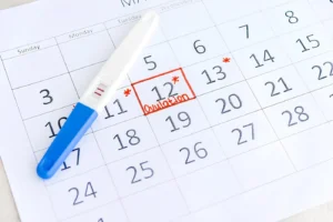 Фертильний період це: як розрахувати та використати для планування вагітності