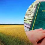 Нужно ли платить налог за приватизированную землю в 2026 году