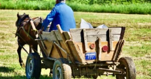Дефіцит пального змушує росіян купувати коней