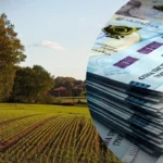 Як продати пай: покрокова інструкція 2026